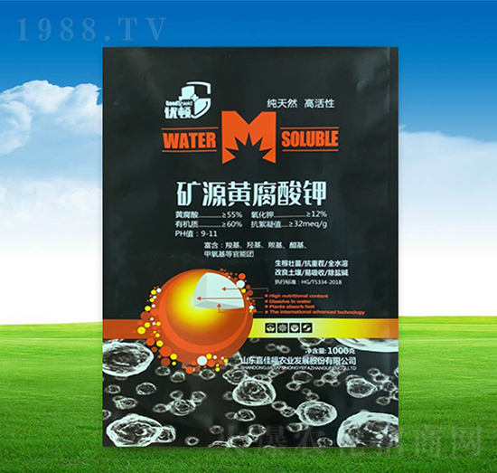 �VԴ�S�����-�μѸ�