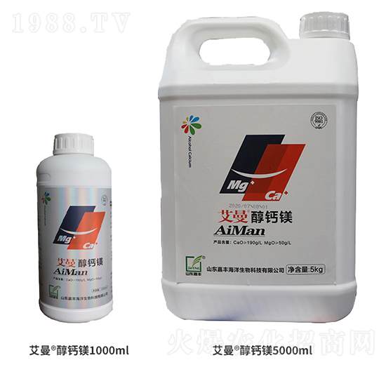 ���������}�V-���S