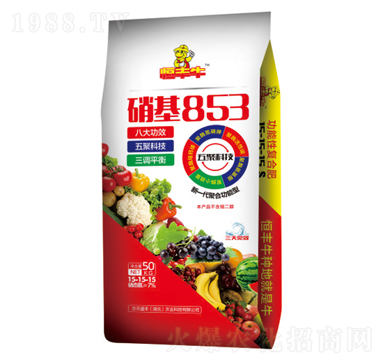 ����853���ܷ�15-15-15-���Sţ-�P�����d