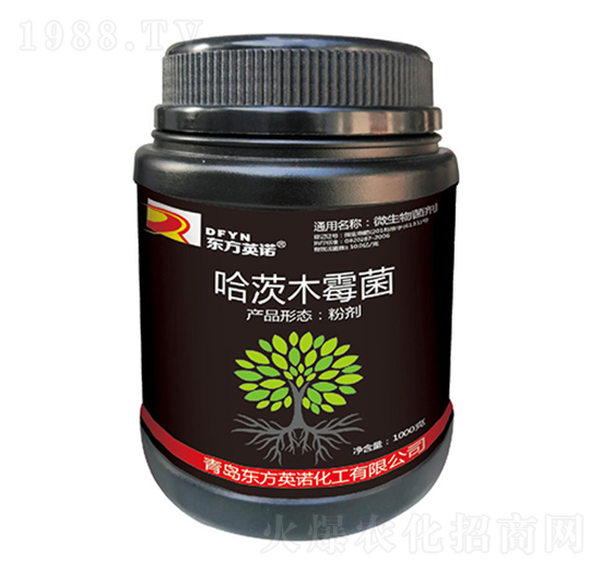 ����ľù��-�|��Ӣ�Z