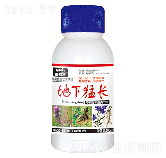 ��ˎ�ĸ��o������L(zh��ng)-�~����