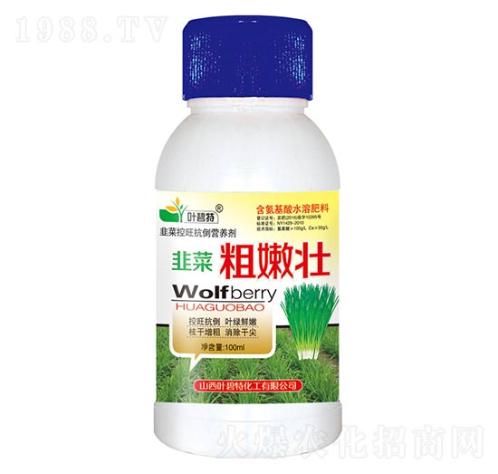 �²˴��ۉ�-�~����