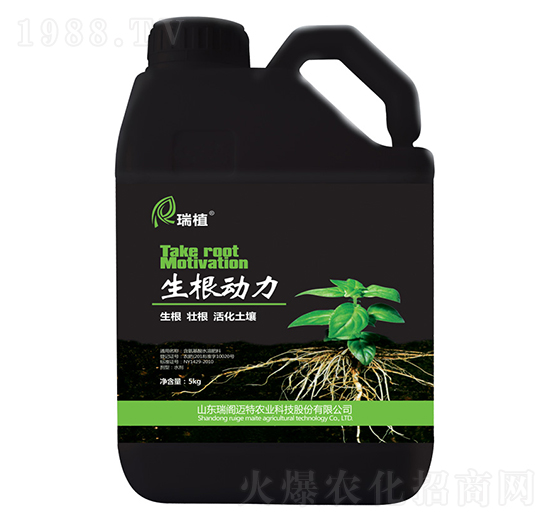 ��������-��ֲ-���w�~��