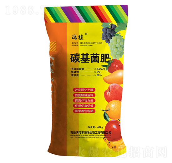 ̼������-��ֲ-���w�~��