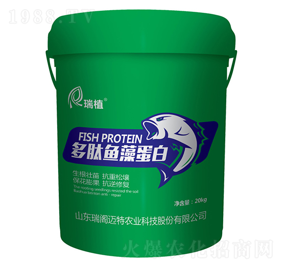 �����~(y��)�嵰��-��ֲ-���w�~��