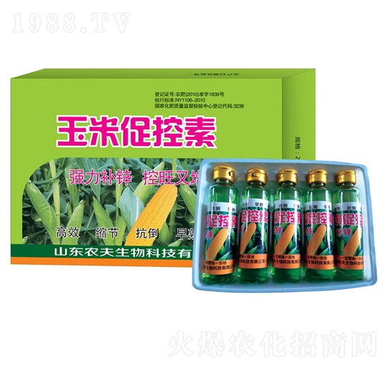 ���״ٿ���-�r��