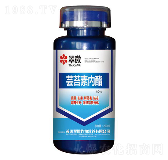 �|̦�؃�(n��i)��-�r(n��ng)��