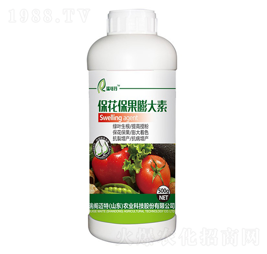 �������������-��ɵ�-���w�~��