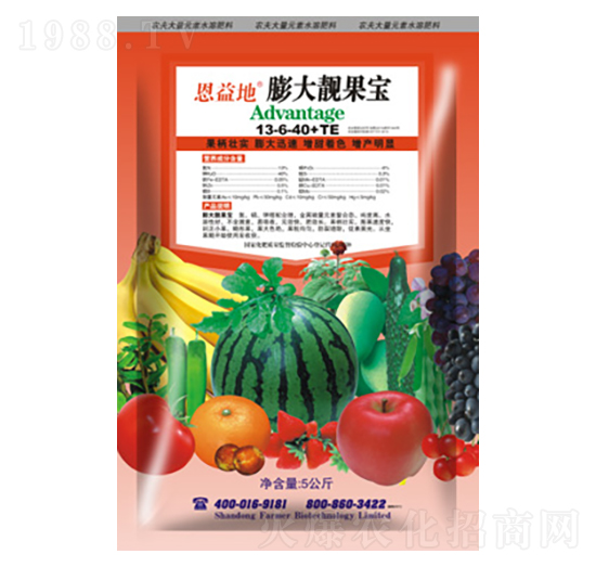 ����n����13-8-40+TE-�r��