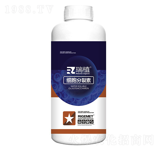 ��(x��)��������-��ֲ-���w�~��