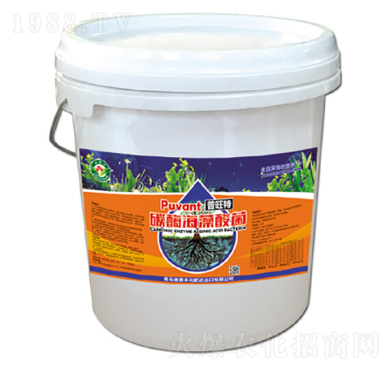 10kg̼ø�������-������-�W���S