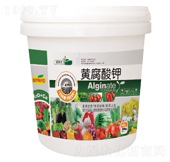 �S�����-�|���S