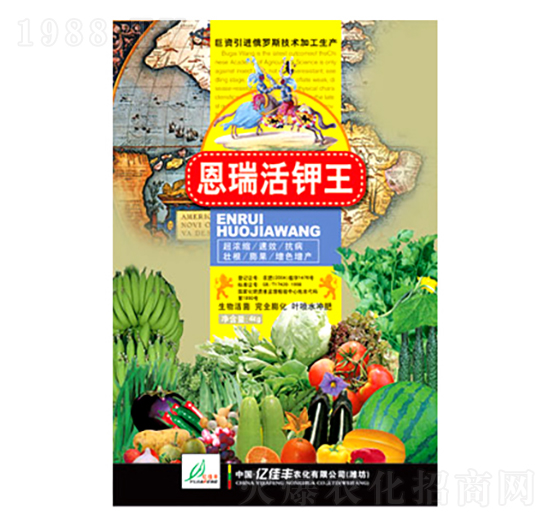 ��������-�|���S