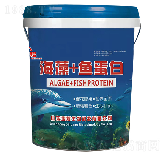 ����+�~����-�ػ�����