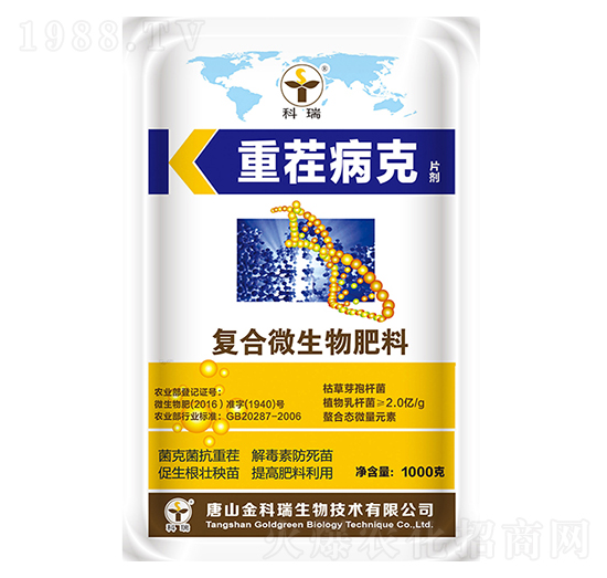 �ز粡��-�����