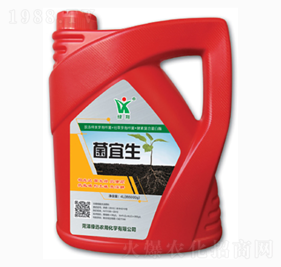 ������-�GӍ