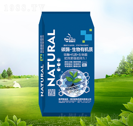 ̼ø�������ЙC�|-������