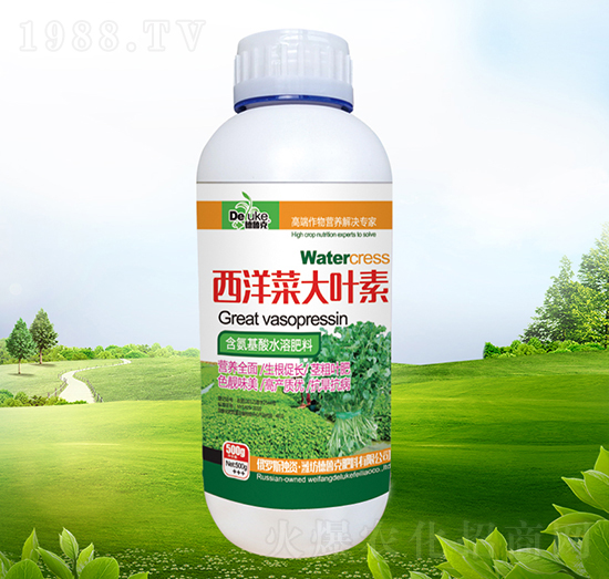 ����˴��~��-������