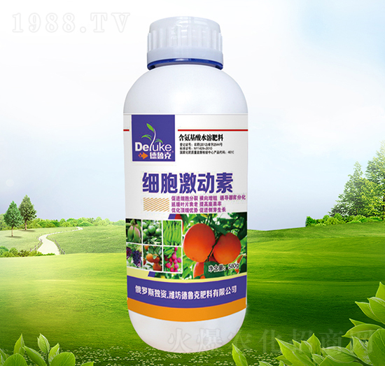 ��(x��)��������-������