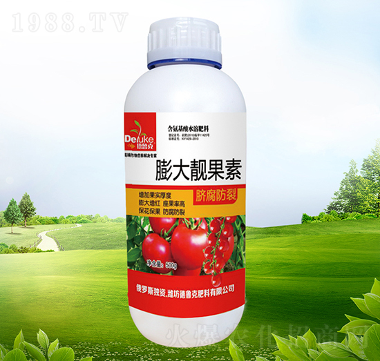 ����n����-������