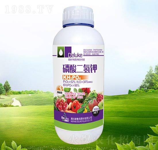 �������⛣�ƿ��-������