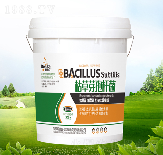 �ݲ�ѿ�ߗU��-������