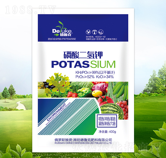 �������⛣�����-������