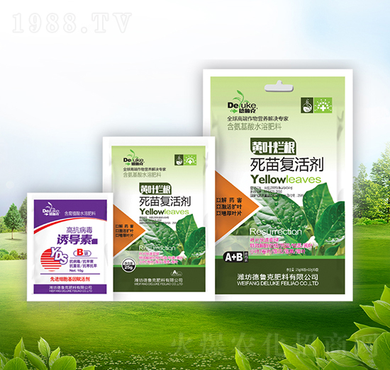 �S�~���������(f��)�+�T��(d��o)��-������