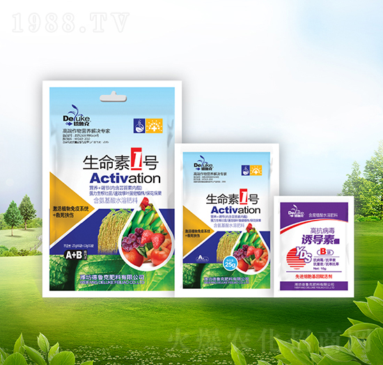 ������1̖(h��o)+�T��(d��o)��-������