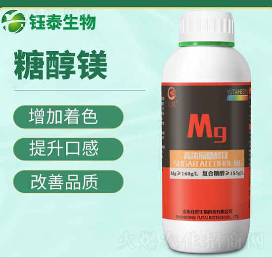 �ߝ�s�Ǵ��V-�̩����