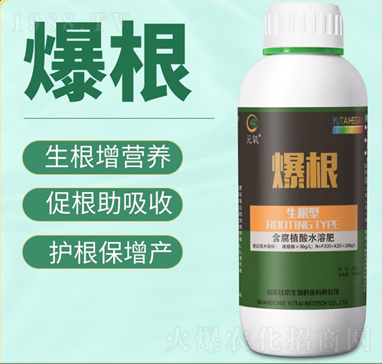 ����-�̩����