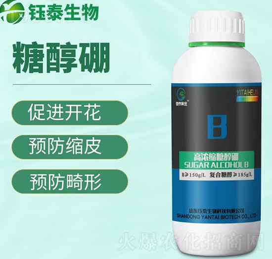 �Ǵ���-�̩����