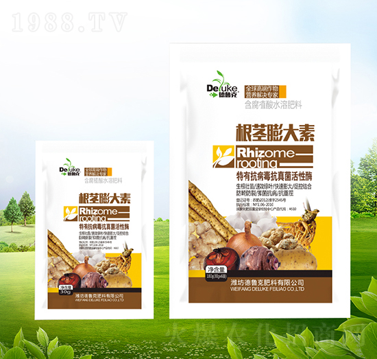 ���o�����-������