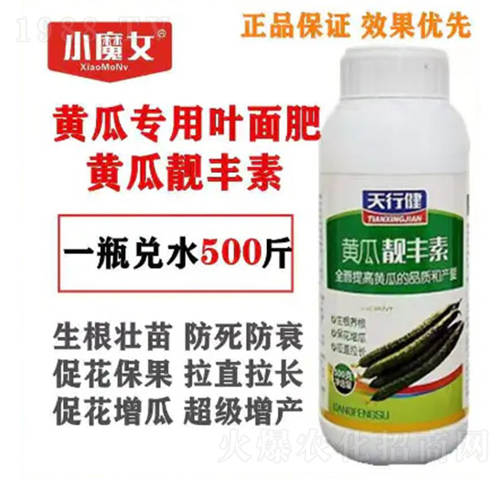 �S�ό�(zhu��n)���~���-�S���n�S��-СħŮ-���н�