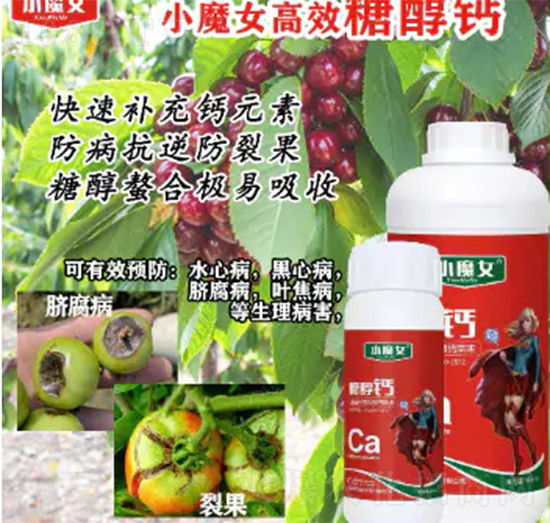 �Ǵ��}-СħŮ-���н�