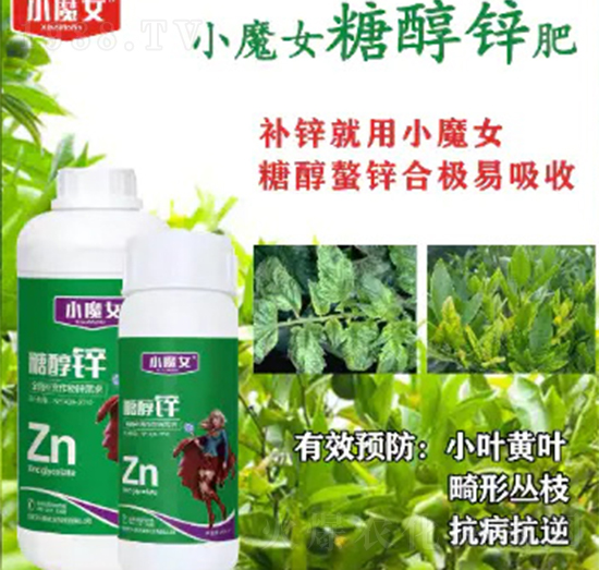 �Ǵ��\-СħŮ-���н�