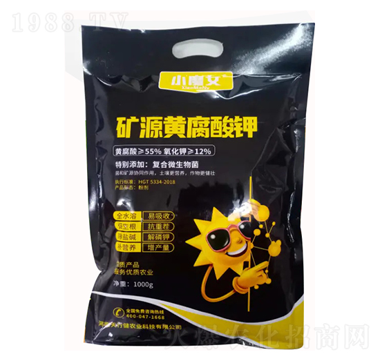 �VԴ�S�����-СħŮ-���н�