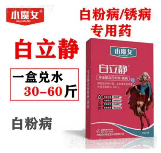 �׷۲����P������ˎ-�����o-СħŮ-���н�