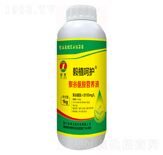 �۹Ȱ���I�B(y��ng)Һ-��ֲ���o-��ֲ