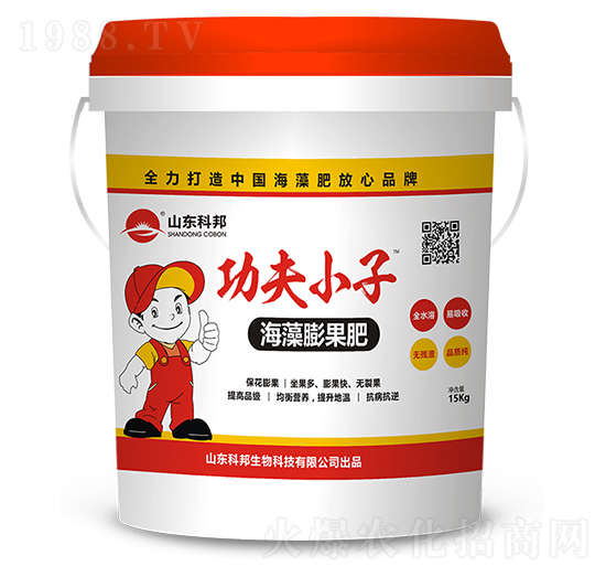 ���������-�ư�����