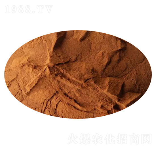 �S�����-��������