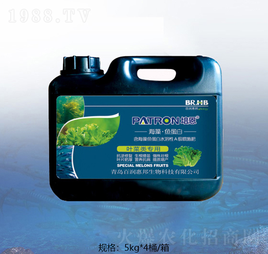 �~����ٺ����~����-�ٝ�(r��n)�ݰ�