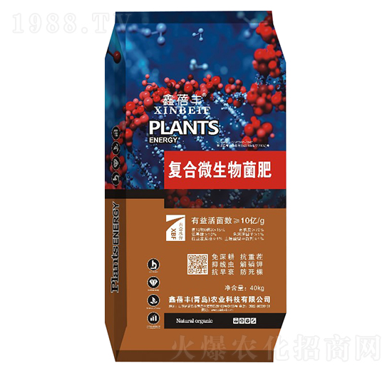 10�|�ͺ�΢�������-�����S