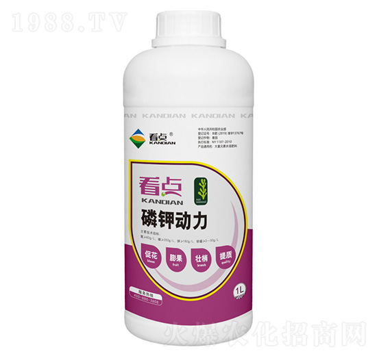 ��⛄���-���c