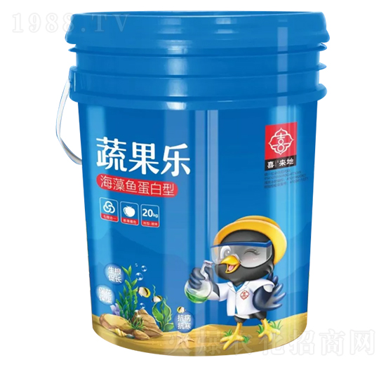 ���嵰����-�߹���-ϲ����