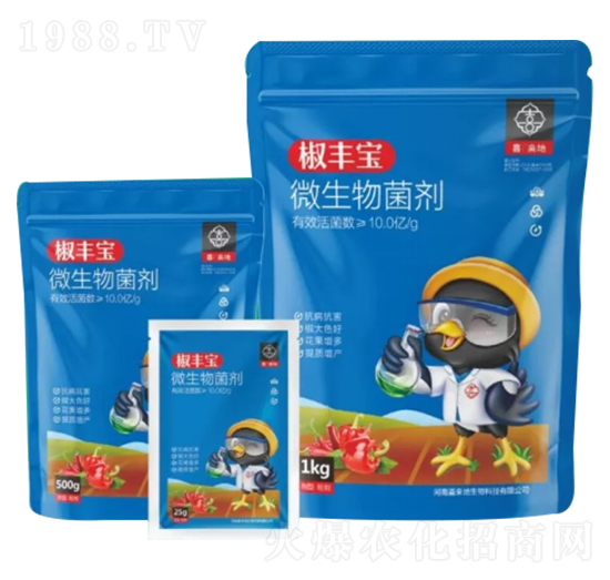 ΢�������-���S��-ϲ����