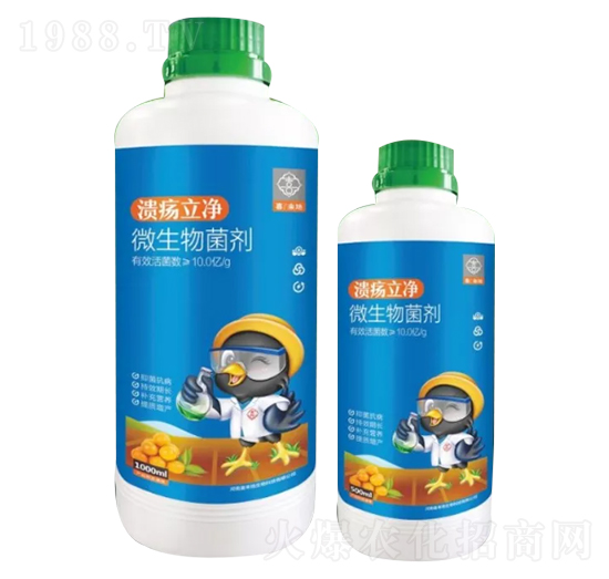 ΢�������-��������-ϲ��(l��i)��