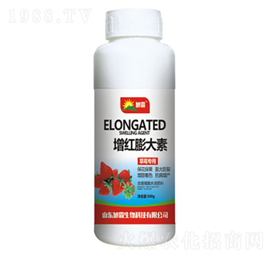 ��ݮ�������t�����-�������