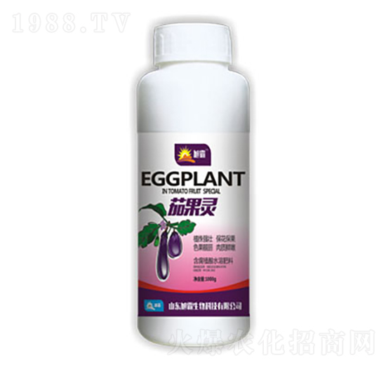 �ѹ��`-�������