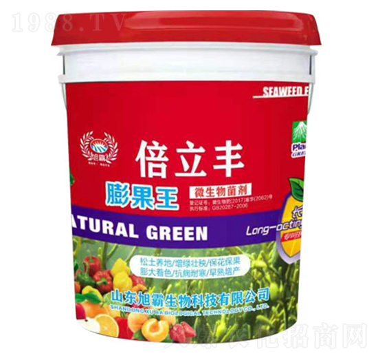 �����-�����S-�������